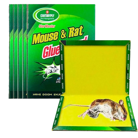 TRAMPA ADHESIVA PARA RATAS Y ROEDORES
